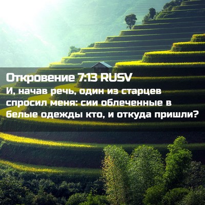 Picture 02 - Откровение 7:13 RUSV - И, начав речь, один из - Bible Verse Picture