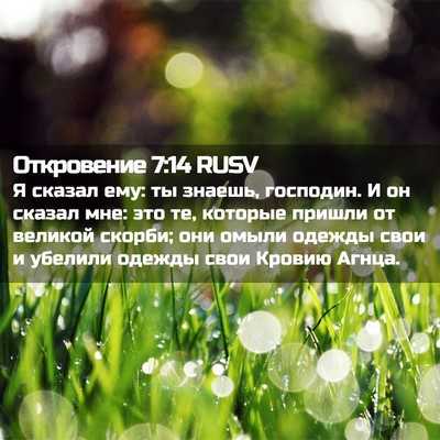 Picture 02 - Откровение 7:14 RUSV - Я сказал ему: ты знаешь, - Bible Verse Picture