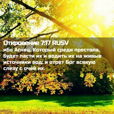 Picture 02 - Откровение 7:17 RUSV - ибо Агнец, Который среди - Bible Verse Picture