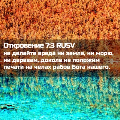 Picture 02 - Откровение 7:3 RUSV - не делайте вреда ни земле, - Bible Verse Picture