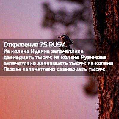 Picture 02 - Откровение 7:5 RUSV - Из колена Иудина - Bible Verse Picture