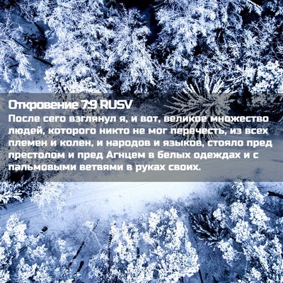 Picture 02 - Откровение 7:9 RUSV - После сего взглянул я, и - Bible Verse Picture