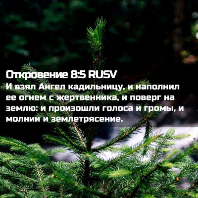 Picture 02 - Откровение 8:5 RUSV - И взял Ангел кадильницу, и - Bible Verse Picture