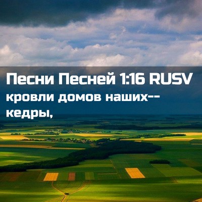 Picture 02 - Песни Песней 1:16 RUSV - кровли домов - Bible Verse Picture