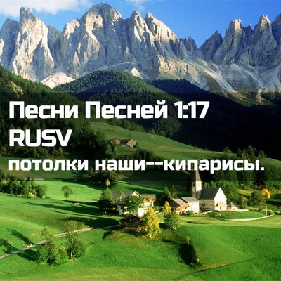 Picture 02 - Песни Песней 1:17 RUSV - потолки - Bible Verse Picture