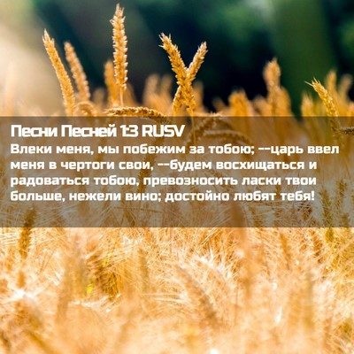 Picture 02 - Песни Песней 1:3 RUSV - Влеки меня, мы побежим за - Bible Verse Picture