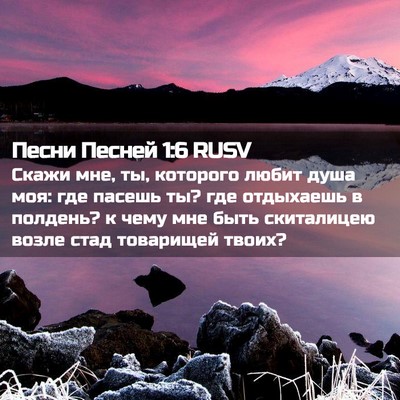 Picture 02 - Песни Песней 1:6 RUSV - Скажи мне, ты, которого - Bible Verse Picture