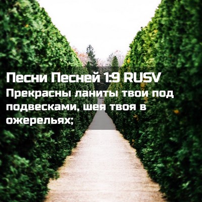 Picture 02 - Песни Песней 1:9 RUSV - Прекрасны ланиты твои под - Bible Verse Picture