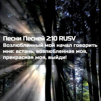 Picture 02 - Песни Песней 2:10 RUSV - Возлюбленный мой начал - Bible Verse Picture