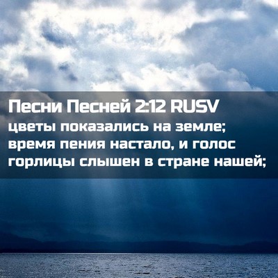 Picture 02 - Песни Песней 2:12 RUSV - цветы показались на земле; - Bible Verse Picture