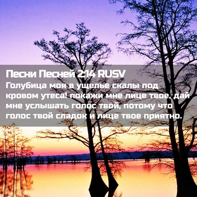 Picture 02 - Песни Песней 2:14 RUSV - Голубица моя в ущелье - Bible Verse Picture
