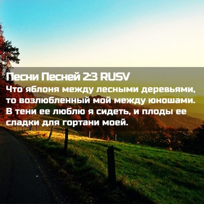 Picture 02 - Песни Песней 2:3 RUSV - Что яблоня между лесными - Bible Verse Picture