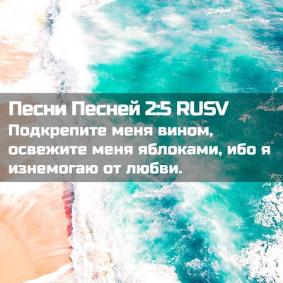 Picture 02 - Песни Песней 2:5 RUSV - Подкрепите меня вином, - Bible Verse Picture