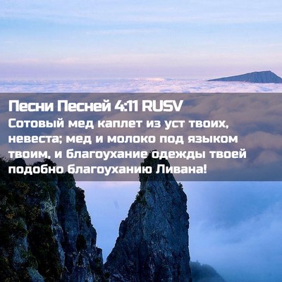 Picture 02 - Песни Песней 4:11 RUSV - Сотовый мед каплет из уст - Bible Verse Picture