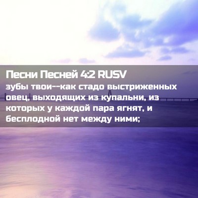 Picture 02 - Песни Песней 4:2 RUSV - зубы твои--как стадо - Bible Verse Picture