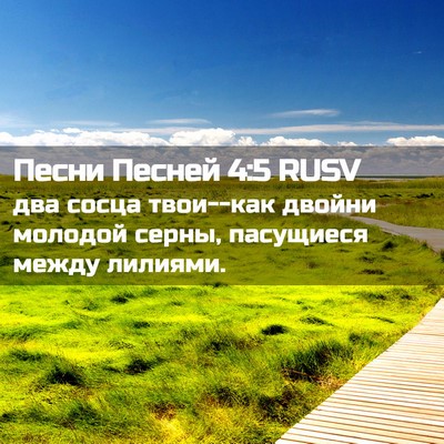 Picture 02 - Песни Песней 4:5 RUSV - два сосца твои--как двойни - Bible Verse Picture