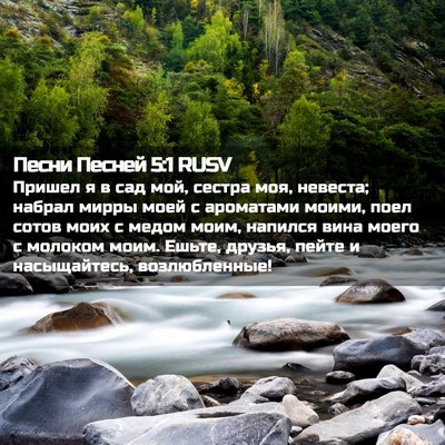 Picture 02 - Песни Песней 5:1 RUSV - Пришел я в сад мой, сестра - Bible Verse Picture