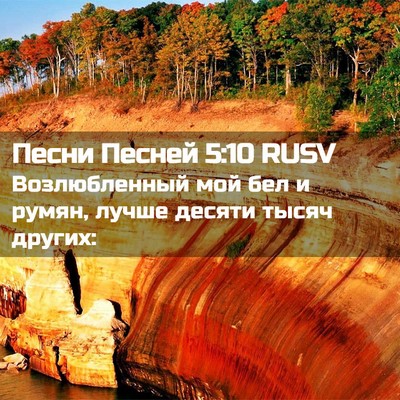 Picture 02 - Песни Песней 5:10 RUSV - Возлюбленный мой бел и - Bible Verse Picture