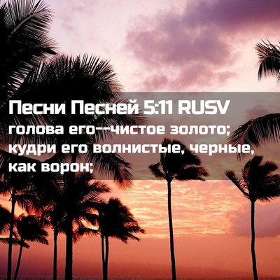 Picture 02 - Песни Песней 5:11 RUSV - голова его--чистое золото; - Bible Verse Picture