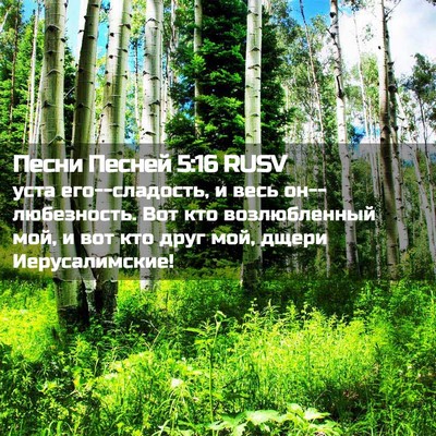 Picture 02 - Песни Песней 5:16 RUSV - уста его--сладость, и весь - Bible Verse Picture