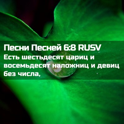 Picture 02 - Песни Песней 6:8 RUSV - Есть шестьдесят цариц и - Bible Verse Picture