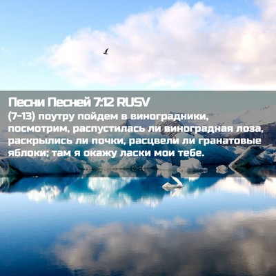 Picture 02 - Песни Песней 7:12 RUSV - (7-13) поутру пойдем в - Bible Verse Picture
