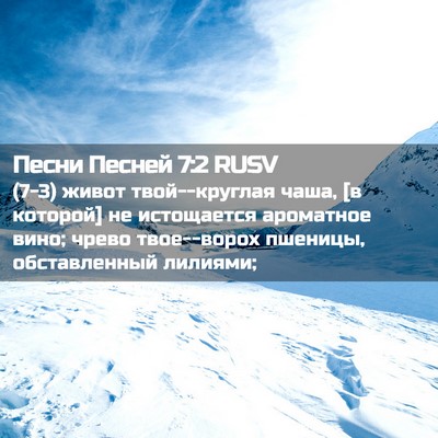 Picture 02 - Песни Песней 7:2 RUSV - (7-3) живот твой--круглая - Bible Verse Picture