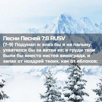 Picture 02 - Песни Песней 7:8 RUSV - (7-9) Подумал я: влез бы я на - Bible Verse Picture
