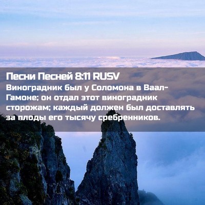Picture 02 - Песни Песней 8:11 RUSV - Виноградник был у Соломона - Bible Verse Picture