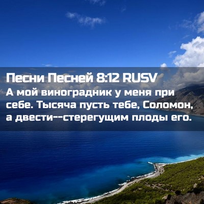 Picture 02 - Песни Песней 8:12 RUSV - А мой виноградник у меня - Bible Verse Picture