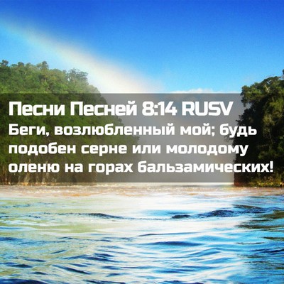 Picture 02 - Песни Песней 8:14 RUSV - Беги, возлюбленный мой; - Bible Verse Picture