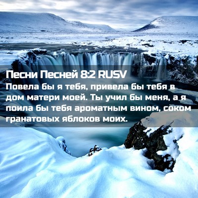 Picture 02 - Песни Песней 8:2 RUSV - Повела бы я тебя, привела - Bible Verse Picture