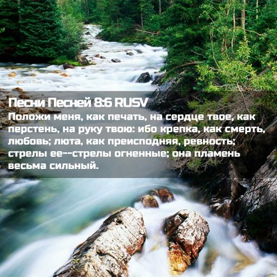 Picture 02 - Песни Песней 8:6 RUSV - Положи меня, как печать, на - Bible Verse Picture