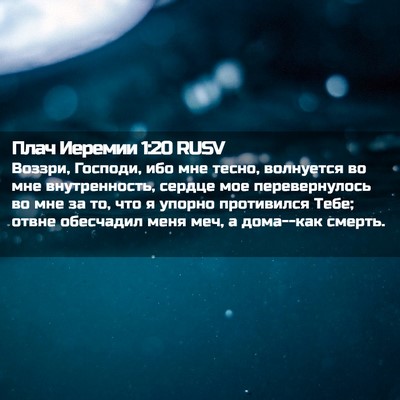 Picture 02 - Плач Иеремии 1:20 RUSV - Воззри, Господи, ибо мне - Bible Verse Picture