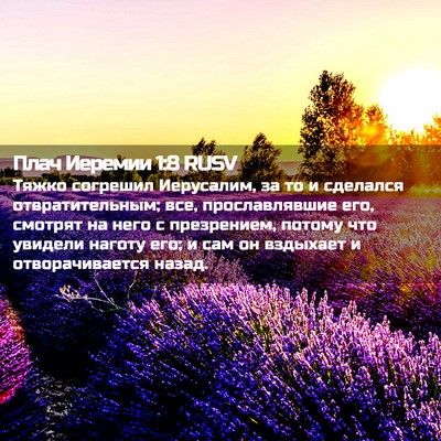 Picture 02 - Плач Иеремии 1:8 RUSV - Тяжко согрешил Иерусалим, - Bible Verse Picture