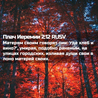Picture 02 - Плач Иеремии 2:12 RUSV - Матерям своим говорят они: - Bible Verse Picture