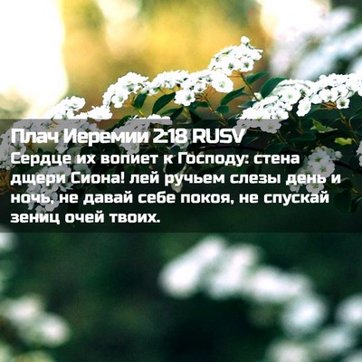 Picture 02 - Плач Иеремии 2:18 RUSV - Сердце их вопиет к Господу: - Bible Verse Picture