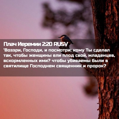 Picture 02 - Плач Иеремии 2:20 RUSV - 'Воззри, Господи, и - Bible Verse Picture