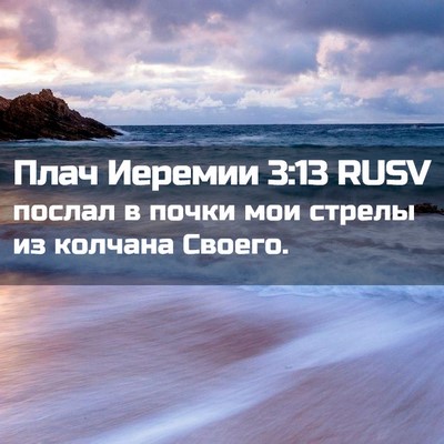 Picture 02 - Плач Иеремии 3:13 RUSV - послал в почки мои стрелы - Bible Verse Picture