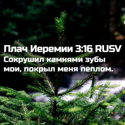 Picture 02 - Плач Иеремии 3:16 RUSV - Сокрушил камнями зубы мои, - Bible Verse Picture