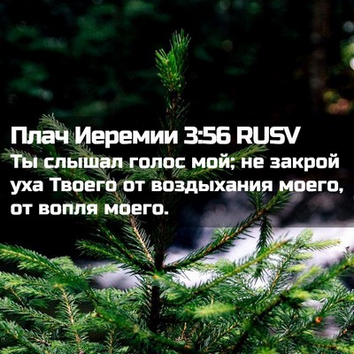 Picture 02 - Плач Иеремии 3:56 RUSV - Ты слышал голос мой; не - Bible Verse Picture