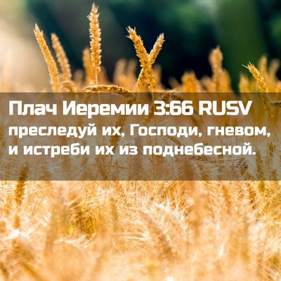 Picture 02 - Плач Иеремии 3:66 RUSV - преследуй их, Господи, - Bible Verse Picture