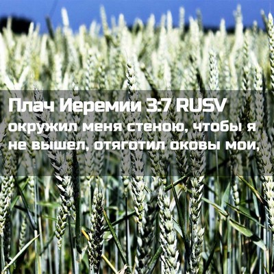 Picture 02 - Плач Иеремии 3:7 RUSV - окружил меня стеною, чтобы - Bible Verse Picture