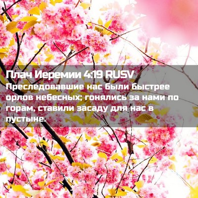 Picture 02 - Плач Иеремии 4:19 RUSV - Преследовавшие нас были - Bible Verse Picture