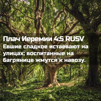 Picture 02 - Плач Иеремии 4:5 RUSV - Евшие сладкое истаевают на - Bible Verse Picture