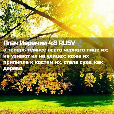 Picture 02 - Плач Иеремии 4:8 RUSV - а теперь темнее всего - Bible Verse Picture