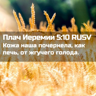 Picture 02 - Плач Иеремии 5:10 RUSV - Кожа наша почернела, как - Bible Verse Picture