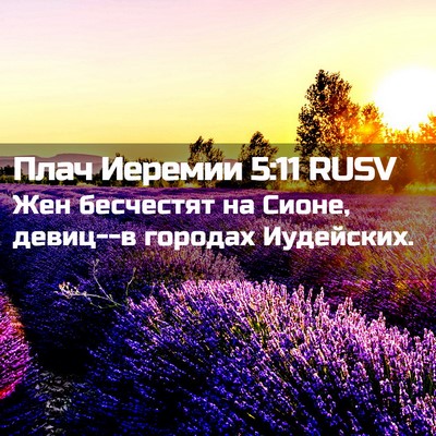 Picture 02 - Плач Иеремии 5:11 RUSV - Жен бесчестят на Сионе, - Bible Verse Picture