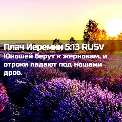 Picture 02 - Плач Иеремии 5:13 RUSV - Юношей берут к жерновам, и - Bible Verse Picture