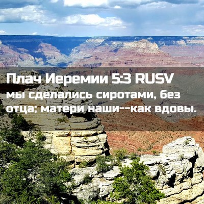 Picture 02 - Плач Иеремии 5:3 RUSV - мы сделались сиротами, без - Bible Verse Picture